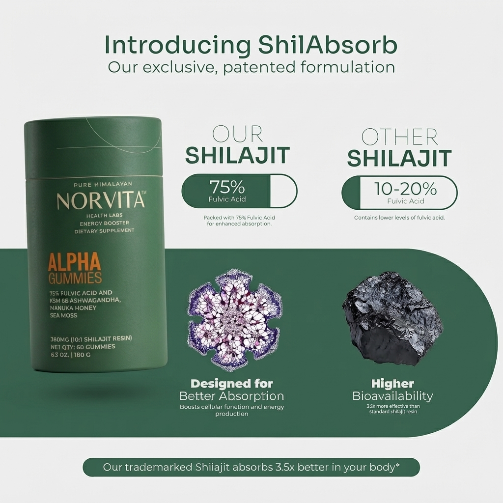 ShilAbsorb